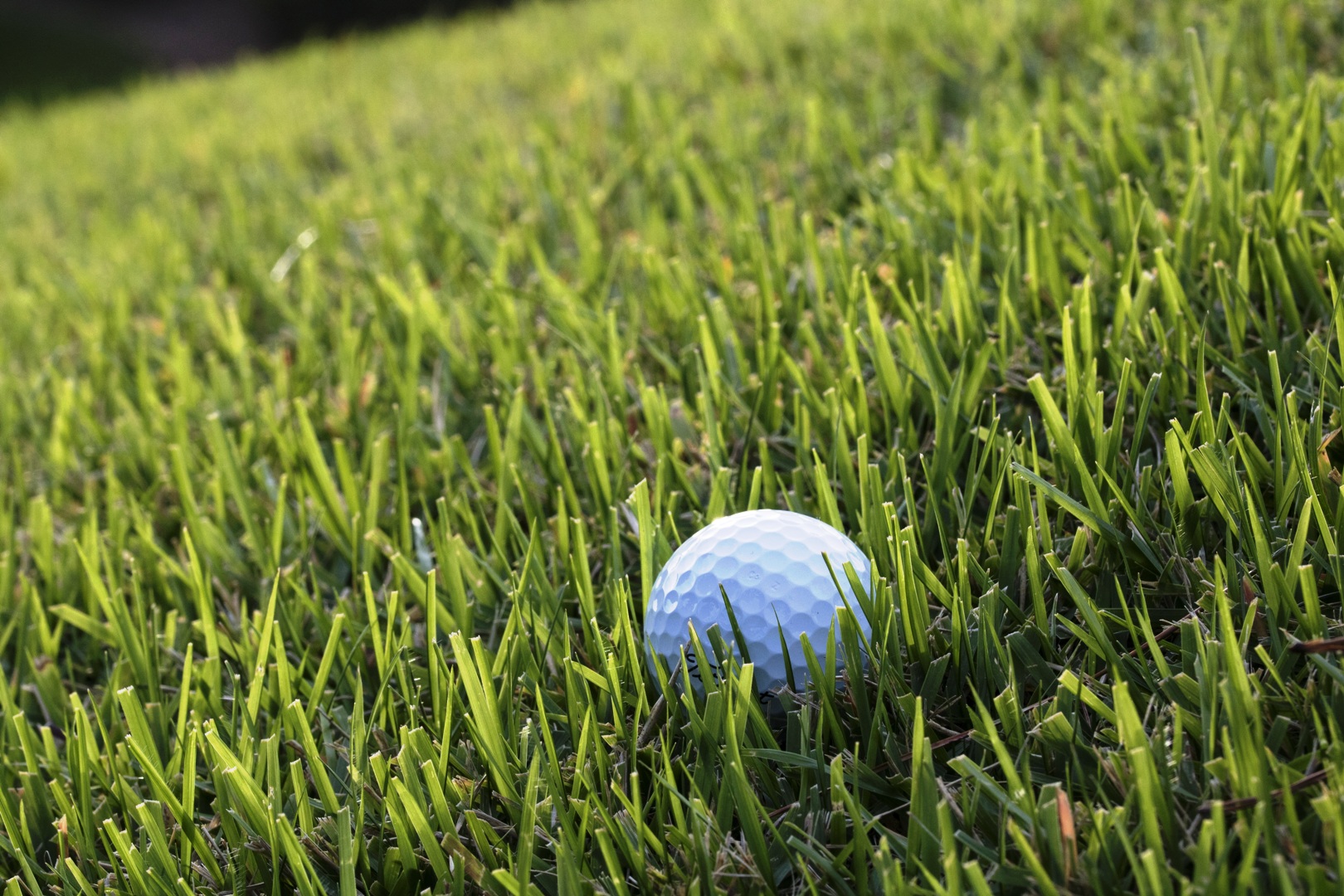 CAMPO DA GOLF: VILLA CON CAMPO DA GOLF IN VENDITA